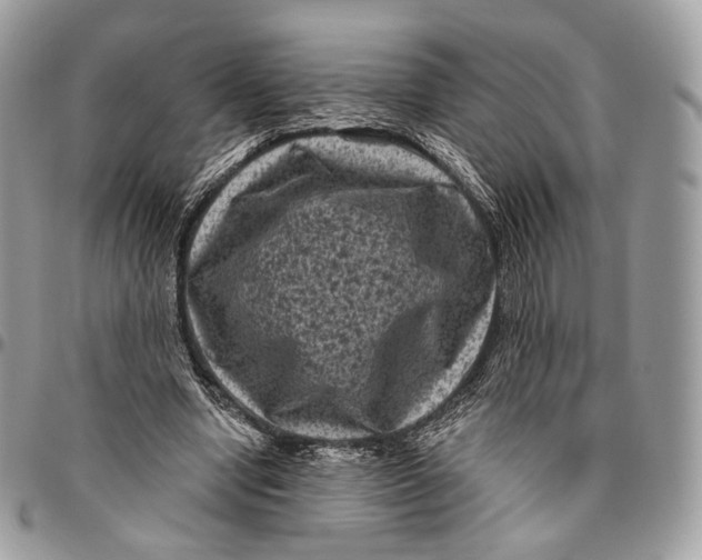 X0000096410442200802141544