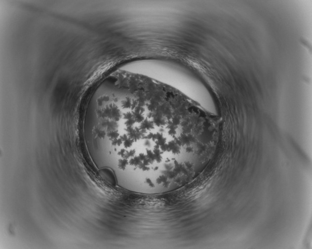 X0000096410443200802141544