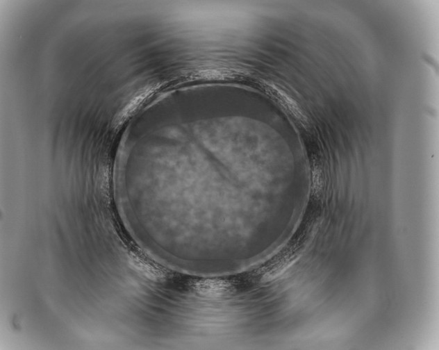 X0000096410444200802141544