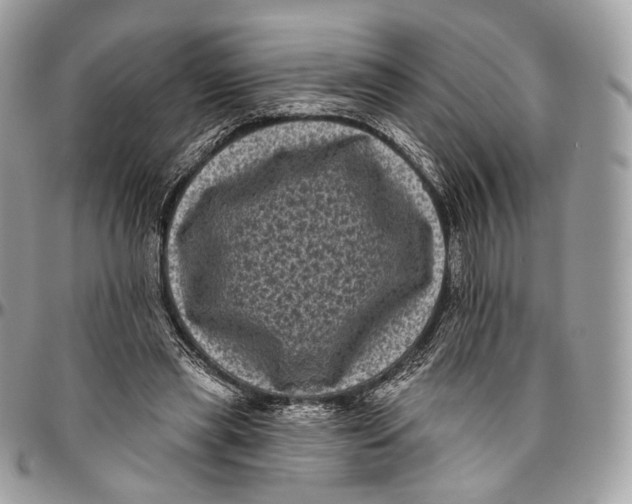 X0000096410445200802141544