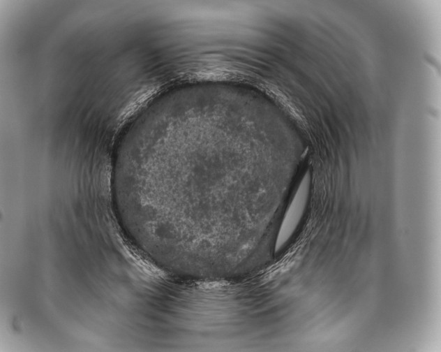 X0000096410446200802141544