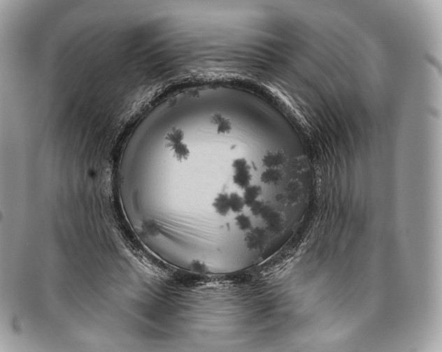 X0000096410447200802141544