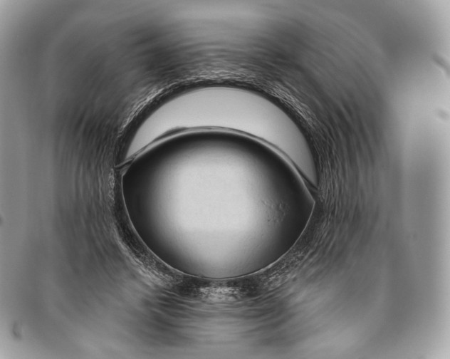 X0000096410448200802141544