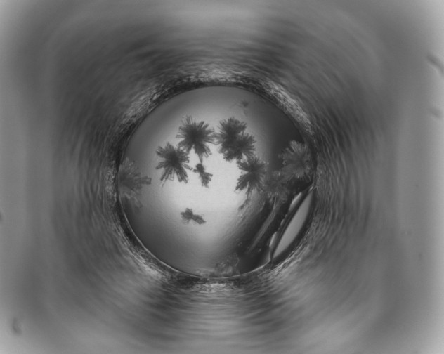 X0000096410449200802141544