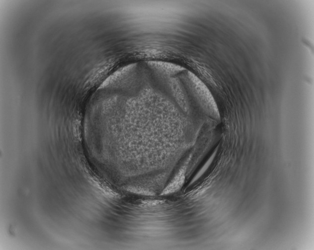 X0000096410450200802141544