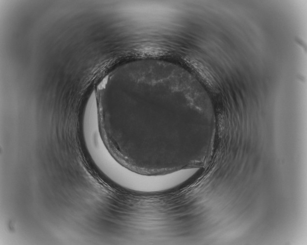 X0000096410451200802141544