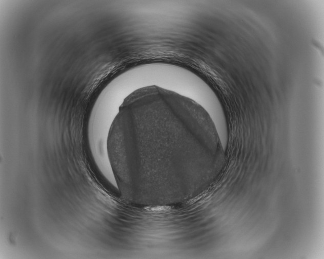 X0000096410452200802141544