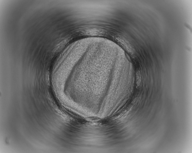 X0000096410453200802141544