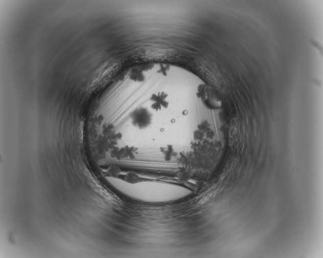 X0000096410454200802141544