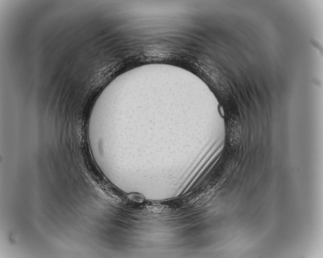 X0000096410455200802141544