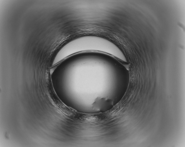 X0000096410456200802141544