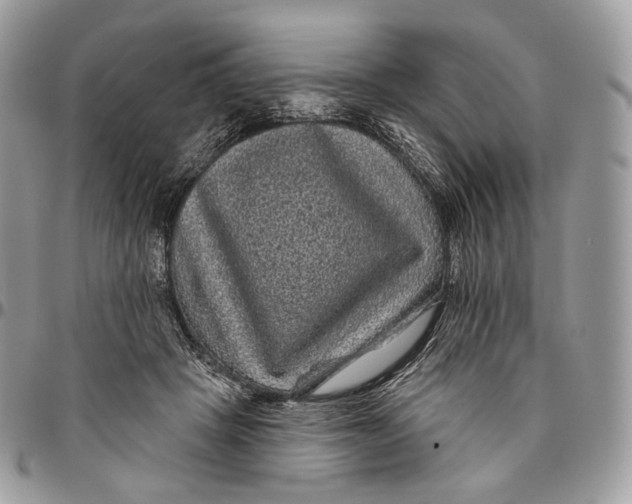 X0000096410457200802141544