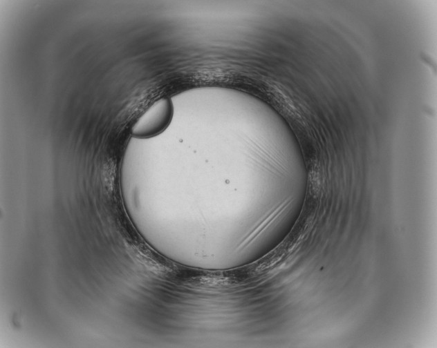 X0000096410458200802141544