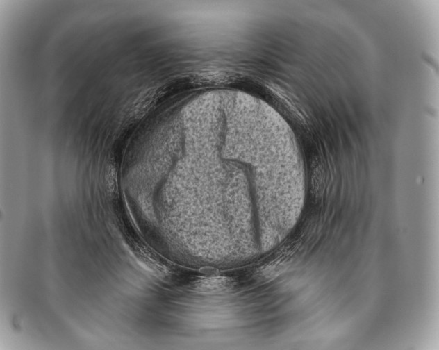 X0000096410459200802141544