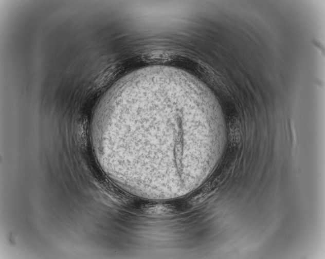 X0000096410460200802141544