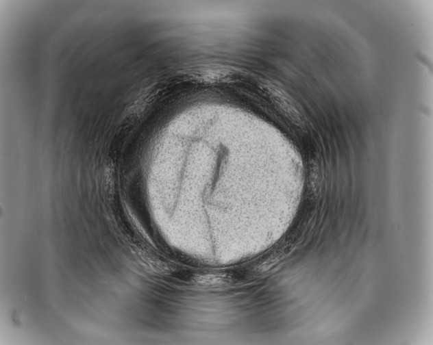 X0000096410461200802141544