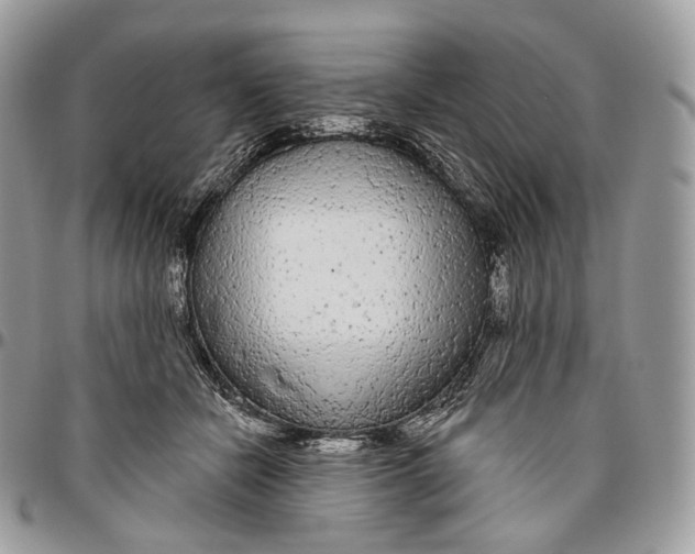 X0000096410462200802141544