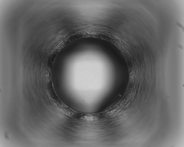 X0000096410464200802141544