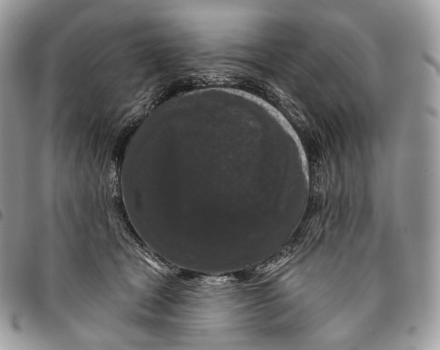 X0000096410465200802141544