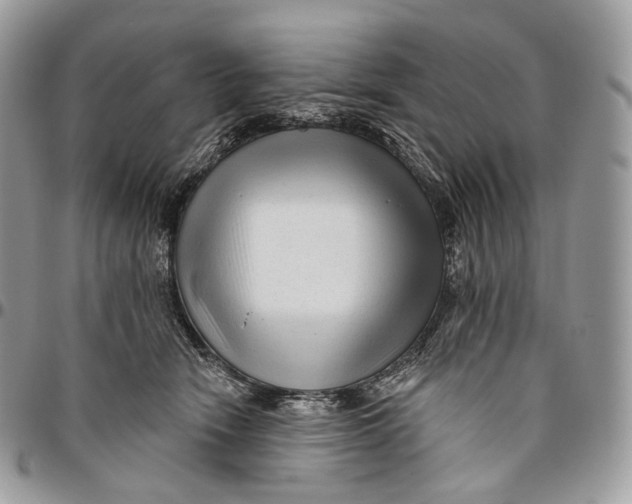 X0000096410466200802141544