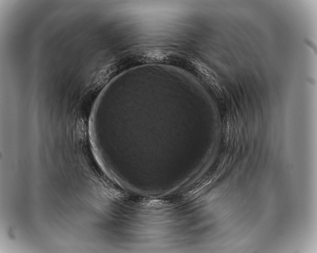 X0000096410467200802141544