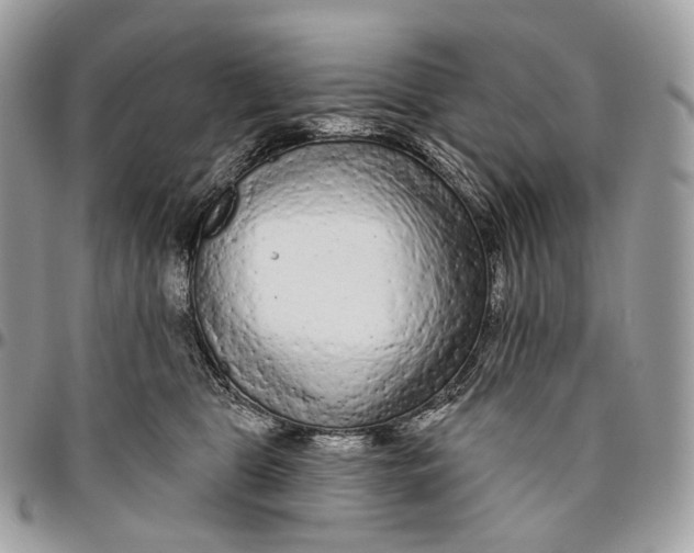 X0000096410469200802141544