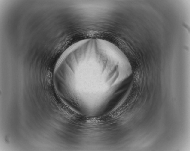 X0000096410470200802141544