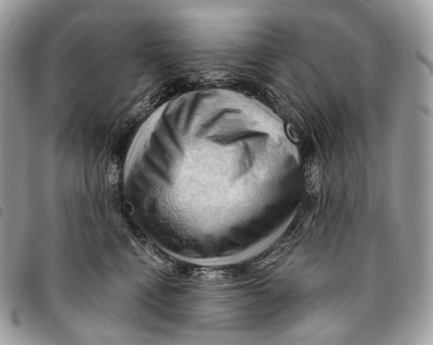 X0000096410472200802141544