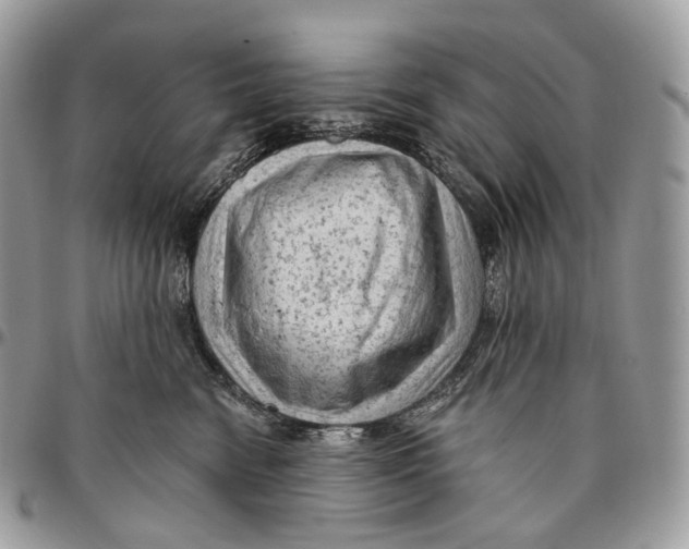 X0000096410474200802141544