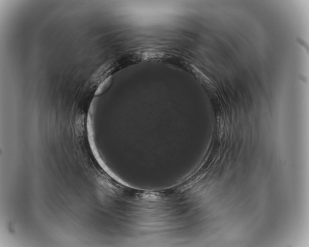 X0000096410475200802141545