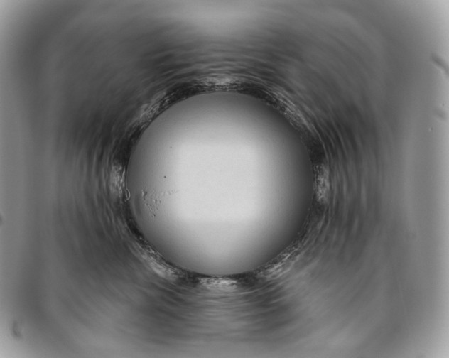 X0000096410476200802141545