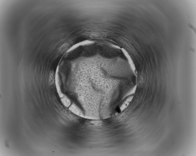 X0000096410478200802141545