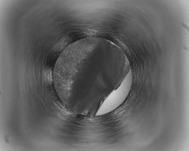 X0000096410479200802141545