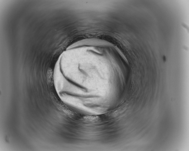 X0000096410480200802141545