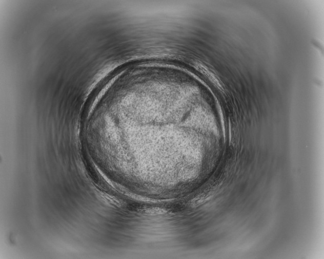 X0000096410483200802141544