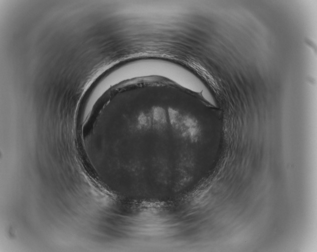 X0000096410484200802141544