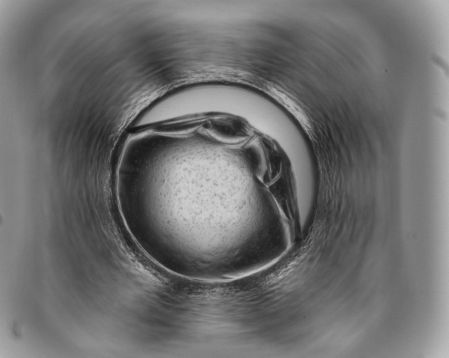 X0000096410485200802141544