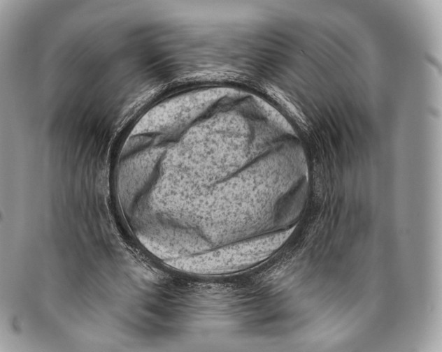 X0000096410486200802141544