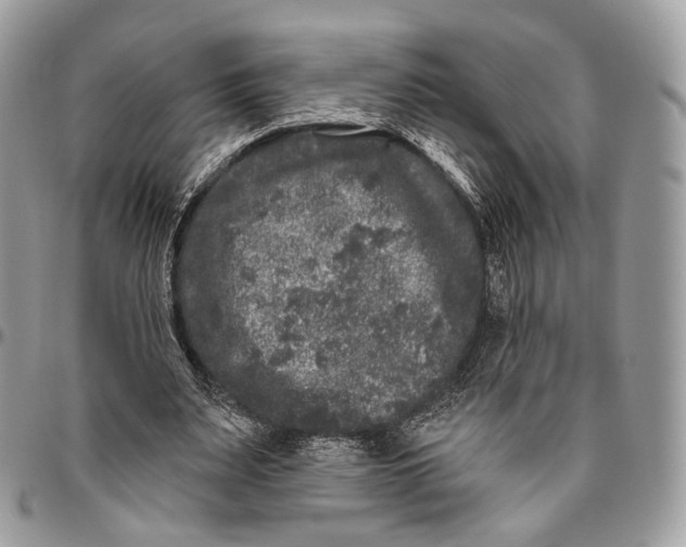 X0000096410487200802141544