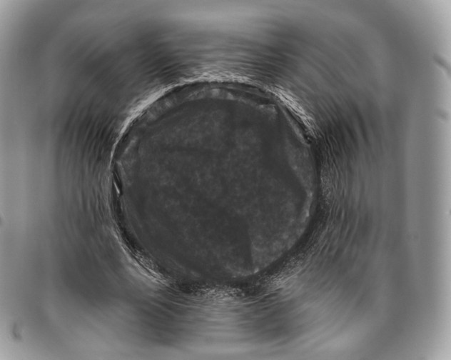 X0000096410488200802141544