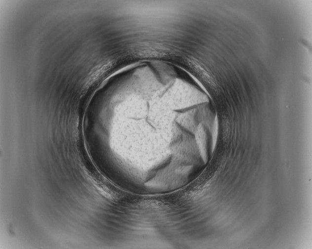 X0000096410490200802141544