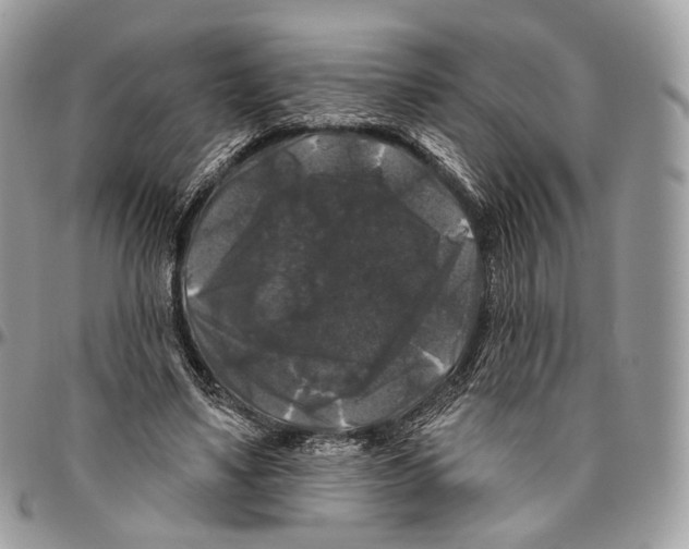 X0000096410491200802141544