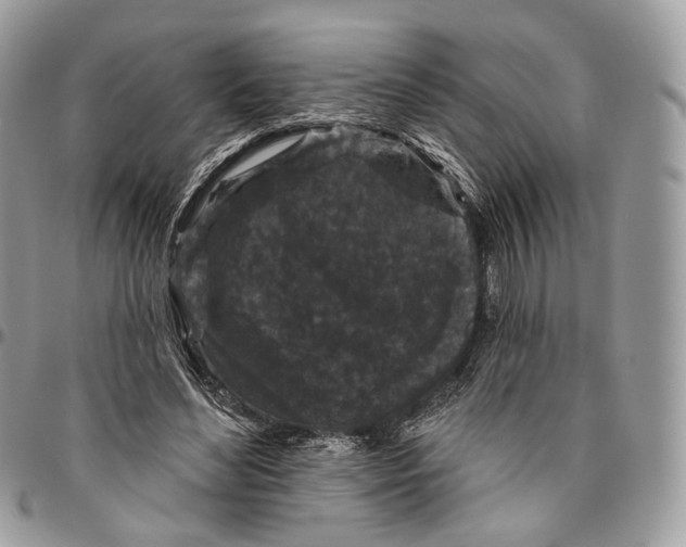 X0000096410492200802141544