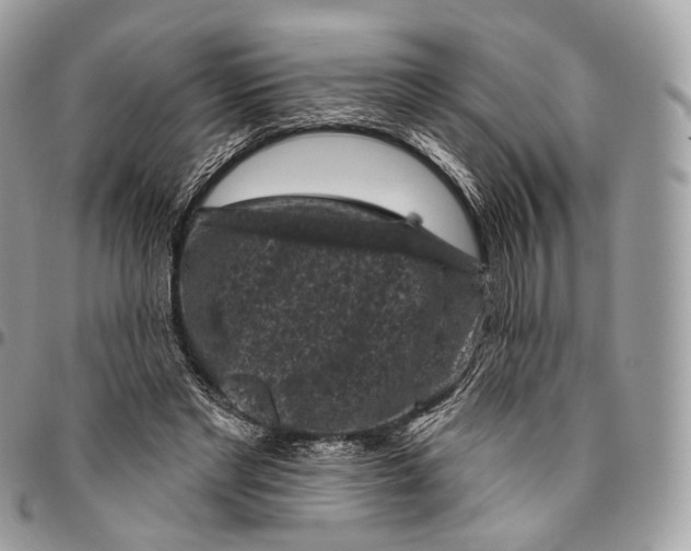 X0000096410493200802141544