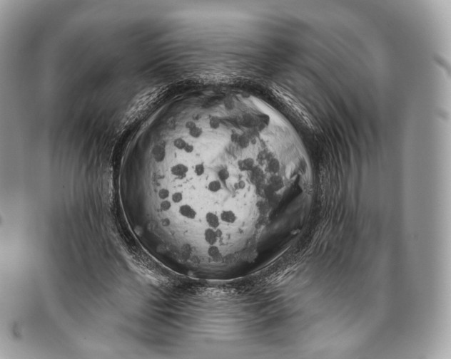 X0000096410494200802141544