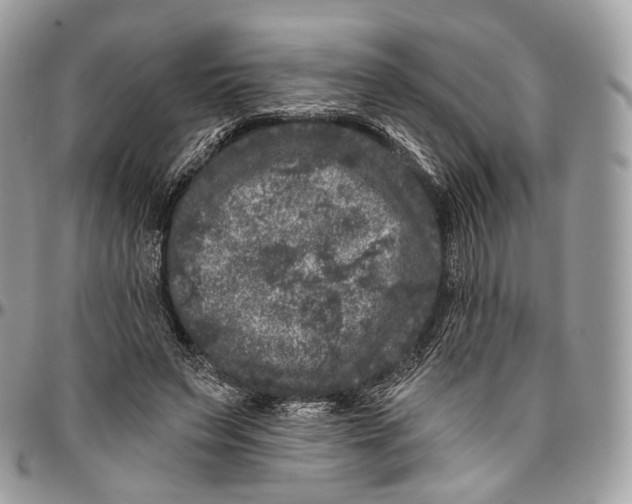 X0000096410495200802141544