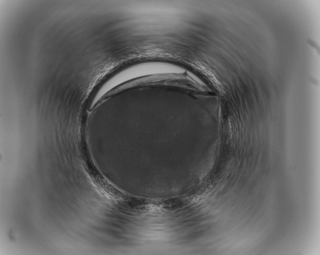 X0000096410496200802141544