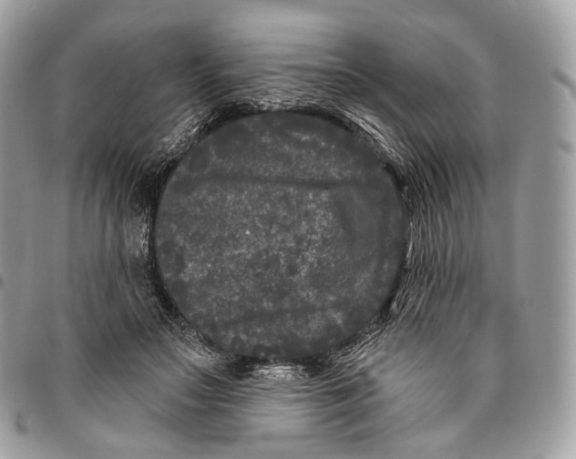 X0000096410499200802141544