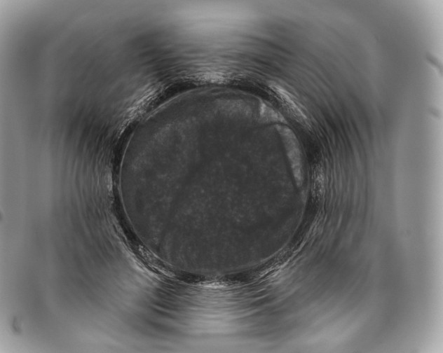 X0000096410500200802141544