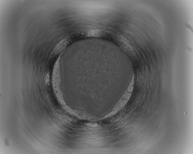 X0000096410502200802141544